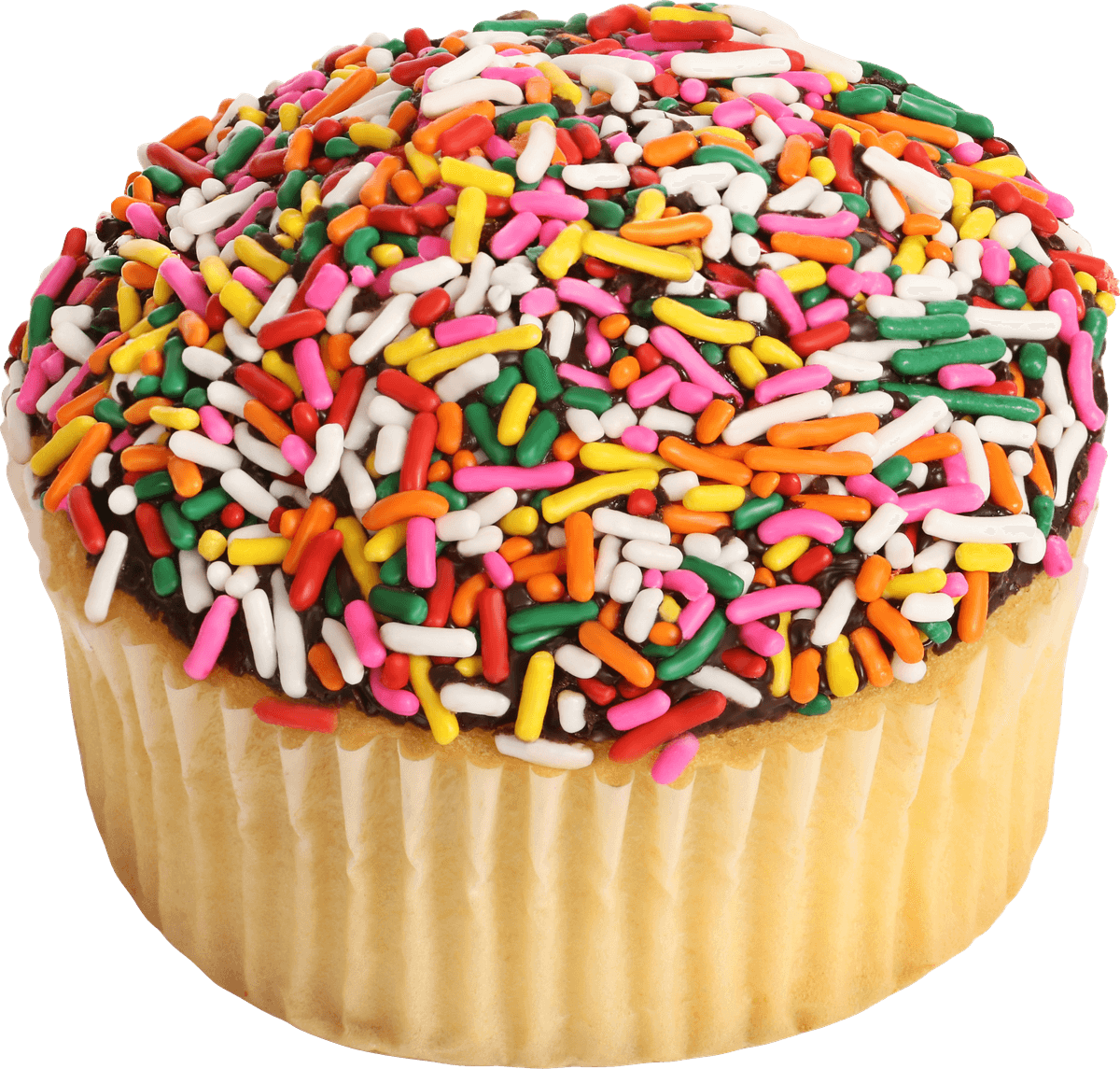 jumbo cupcake