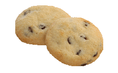 chocolate_chip_500x420_1